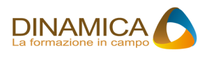 Dinamica Logo